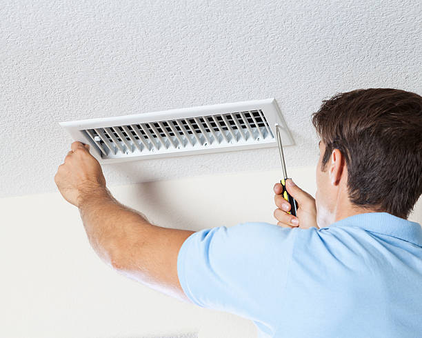 Best Basement Mold Removal  in USA